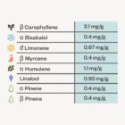 seedsman gelat. og terpene profile