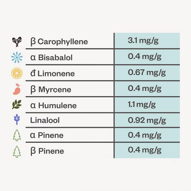 seedsman gelat. og terpene profile